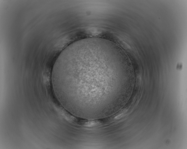 X0000092000274200709201515