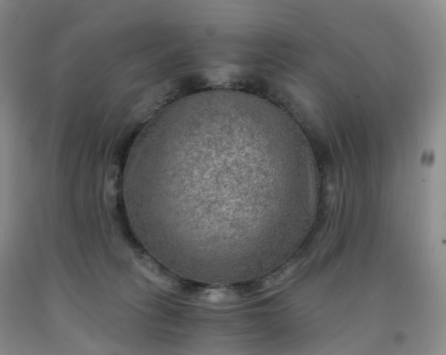 X0000092000275200709201515