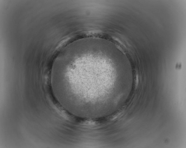 X0000092000276200709201515