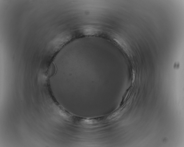 X0000092000277200709201515