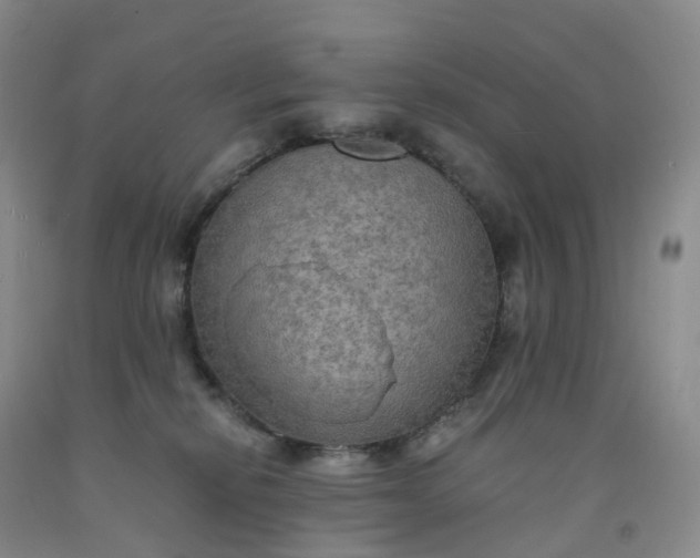 X0000092000278200709201515