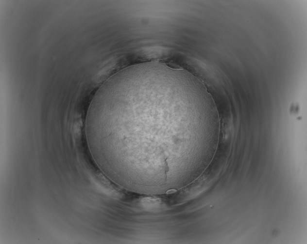 X0000092000279200709201515