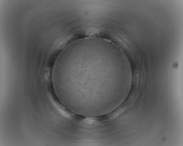 X0000092000280200709201515