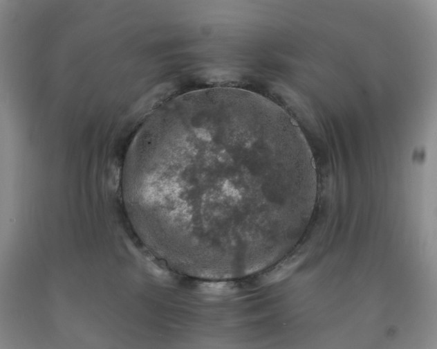 X0000092000281200709201515