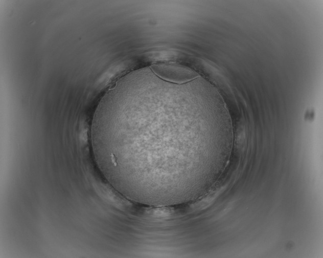 X0000092000282200709201515