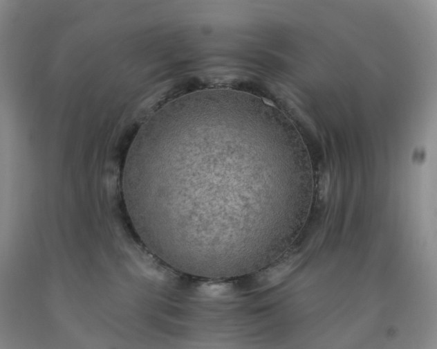 X0000092000283200709201515