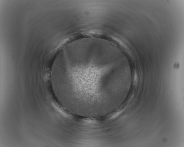 X0000092000284200709201515