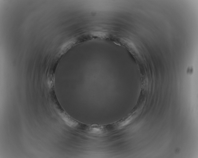 X0000092000285200709201515