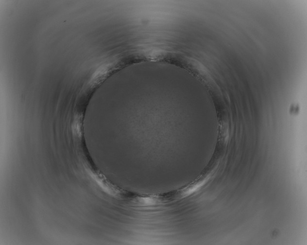 X0000092000286200709201515