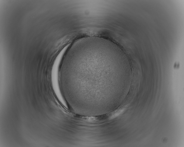 X0000092000288200709201515