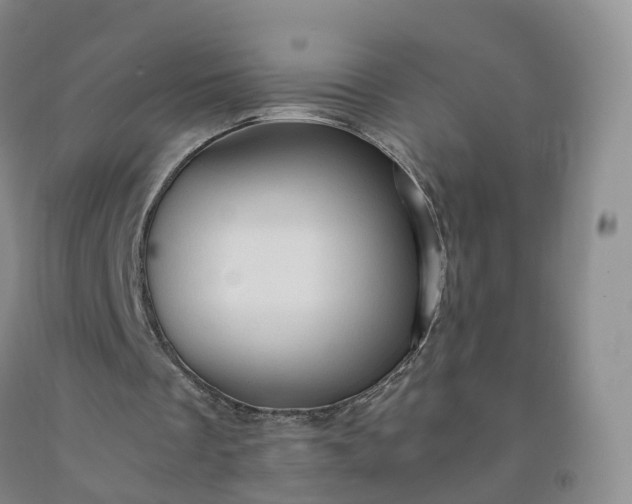 X0000092000289200709201515