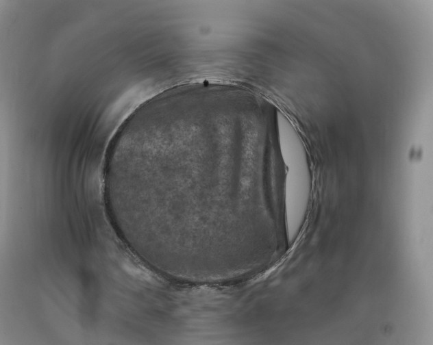 X0000092000290200709201515