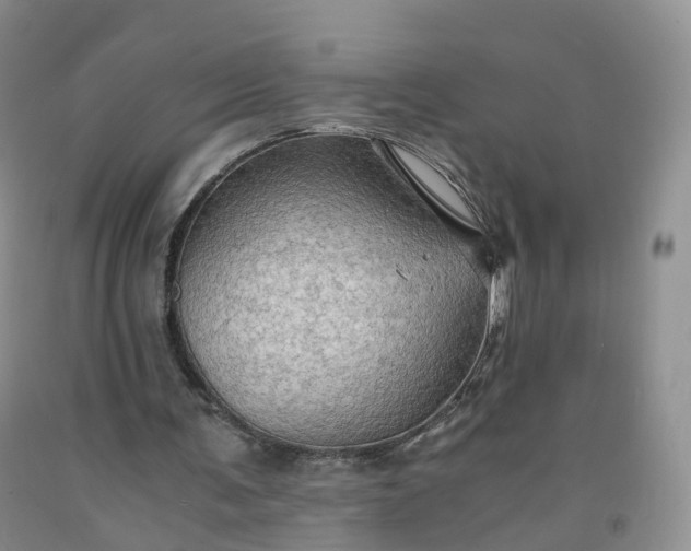 X0000092000291200709201515