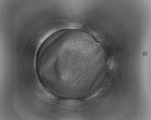 X0000092000292200709201515