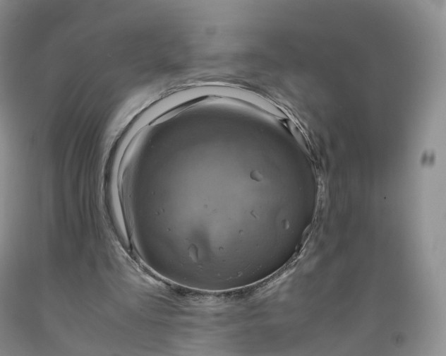 X0000092000293200709201515