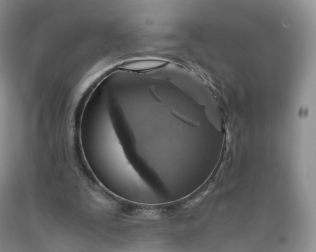 X0000092000295200709201515