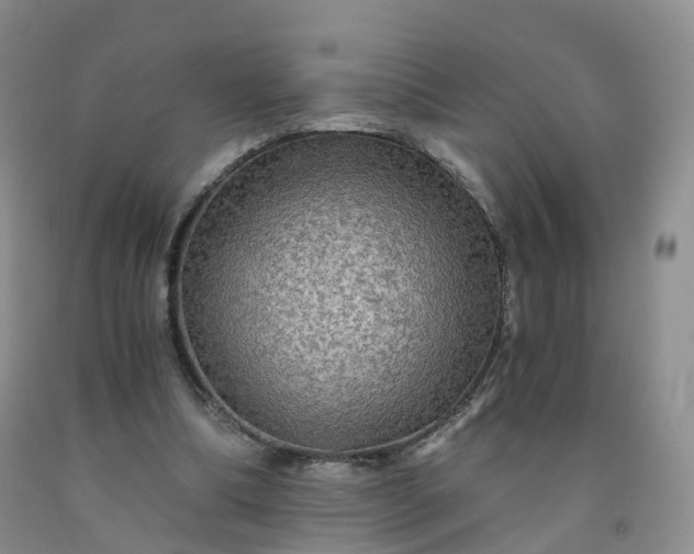 X0000092000298200709201515