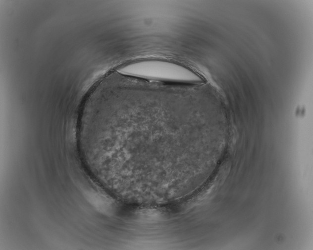 X0000092000299200709201514