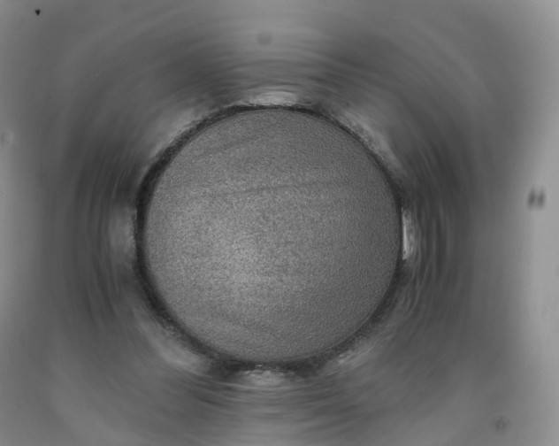 X0000092000300200709201514