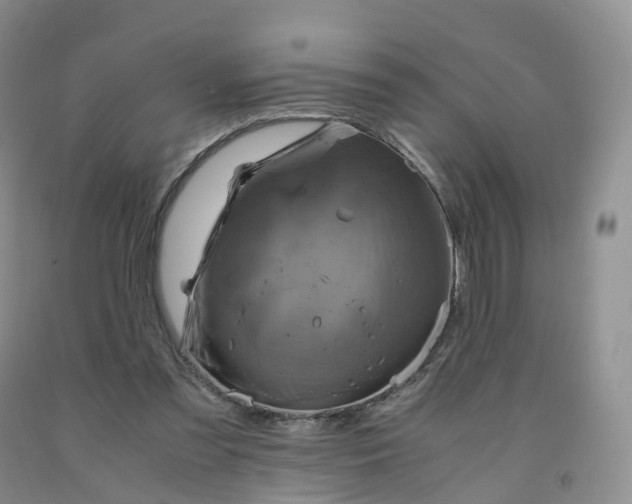 X0000092000301200709201514