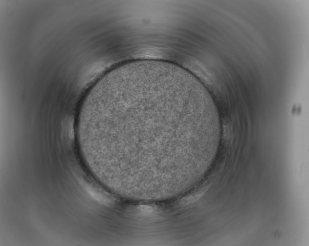 X0000092000302200709201514