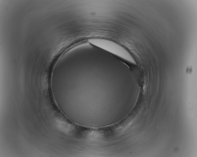 X0000092000303200709201514