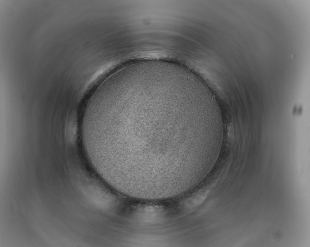 X0000092000304200709201514