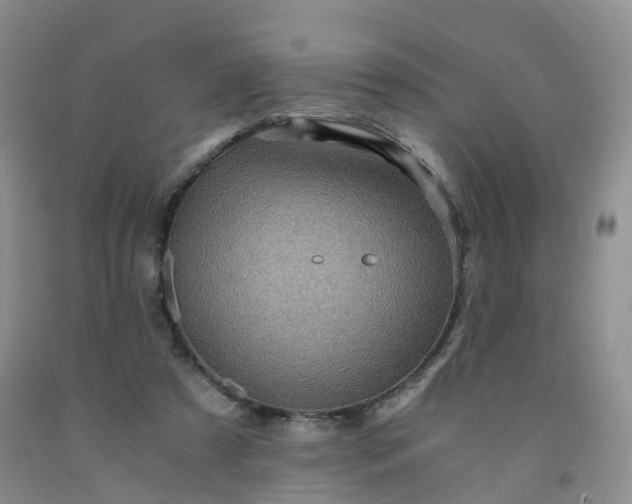 X0000092000305200709201514