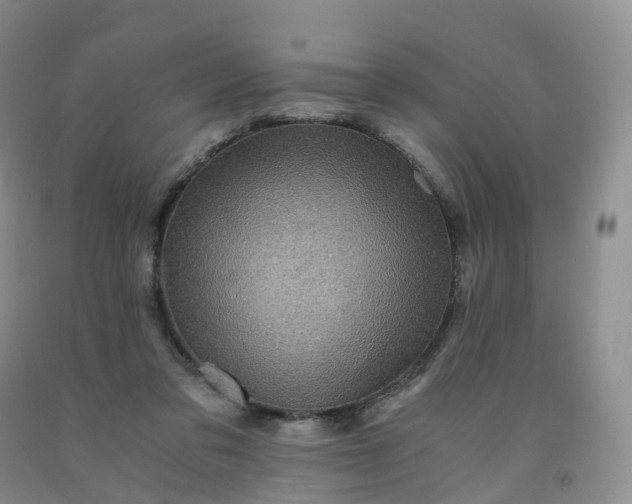 X0000092000309200709201514