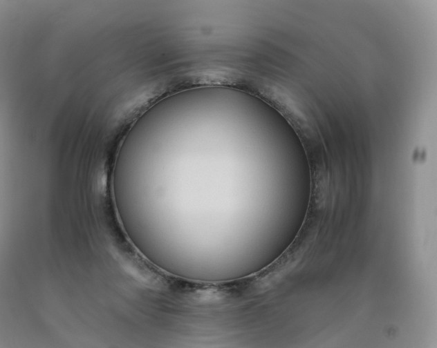 X0000092000310200709201514