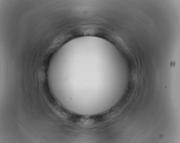 X0000092000311200709201514