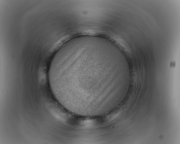 X0000092000312200709201514