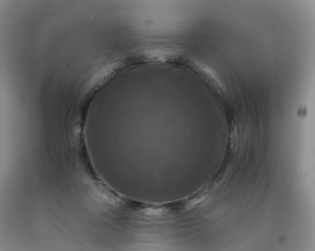 X0000092000314200709201514