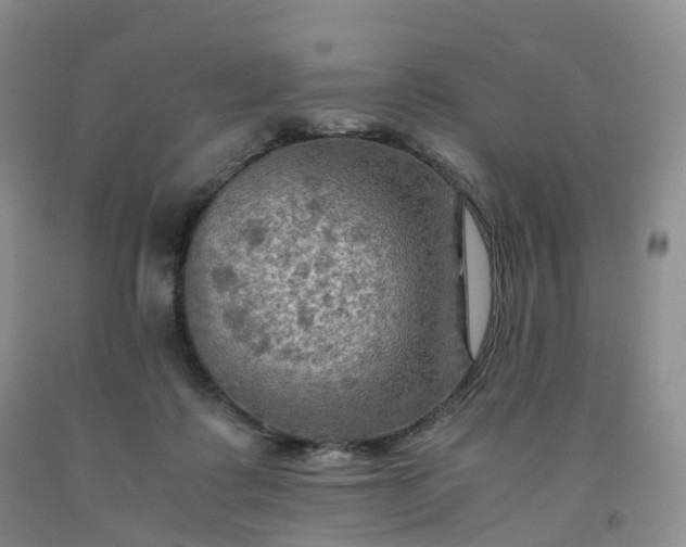 X0000092000315200709201514