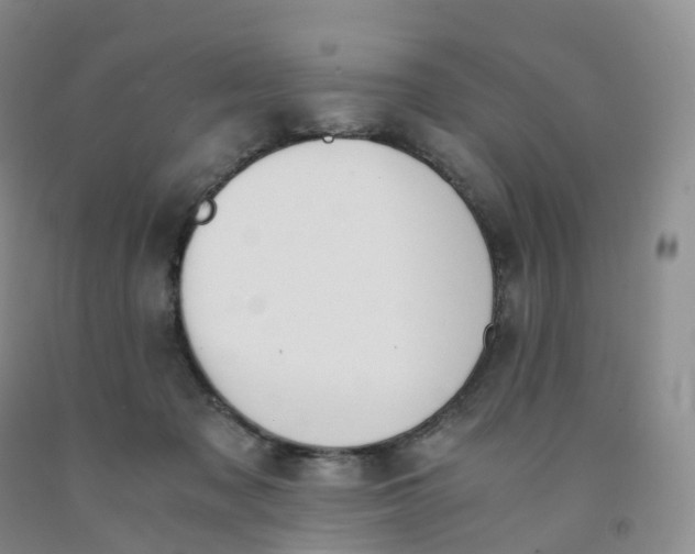 X0000092000317200709201514