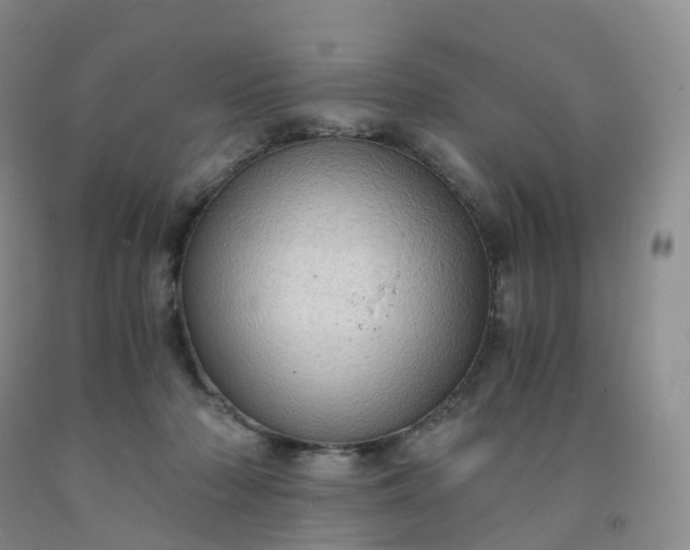 X0000092000318200709201514