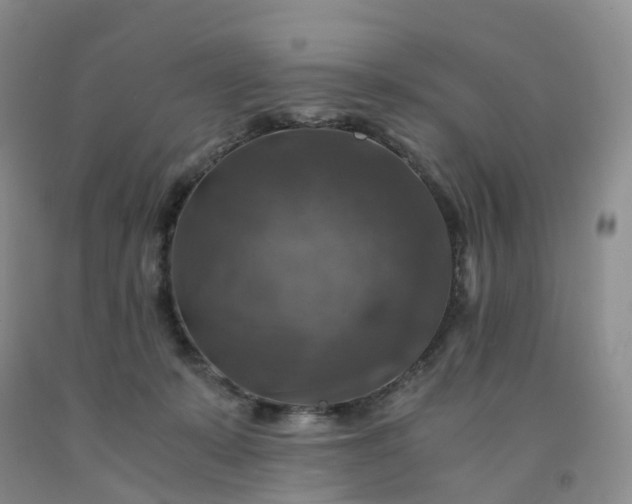 X0000092000319200709201514