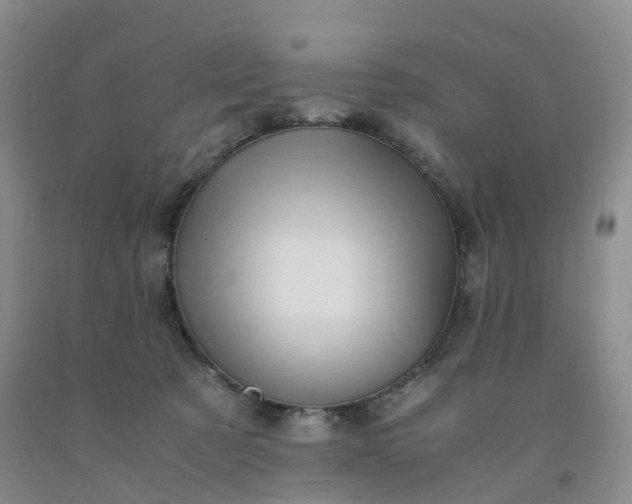 X0000092000321200709201514