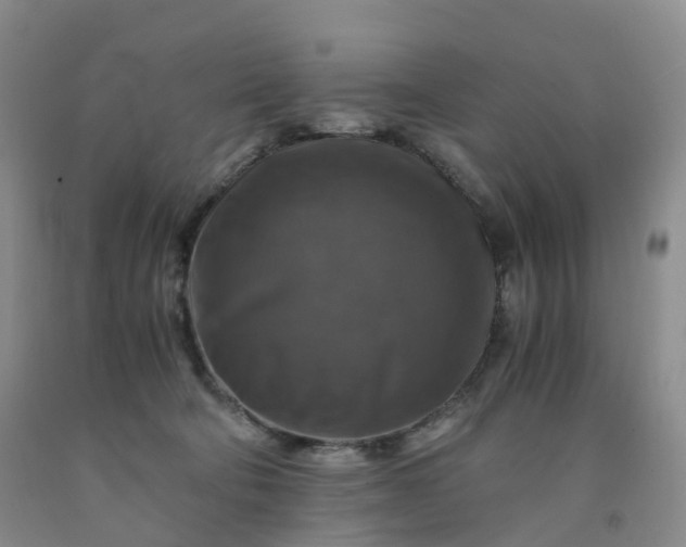 X0000092000322200709201514