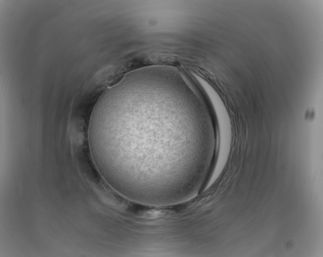 X0000092000323200709201514