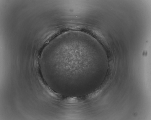 X0000092000325200709201514