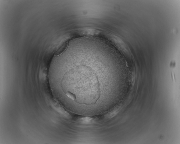 X0000092000326200709201514