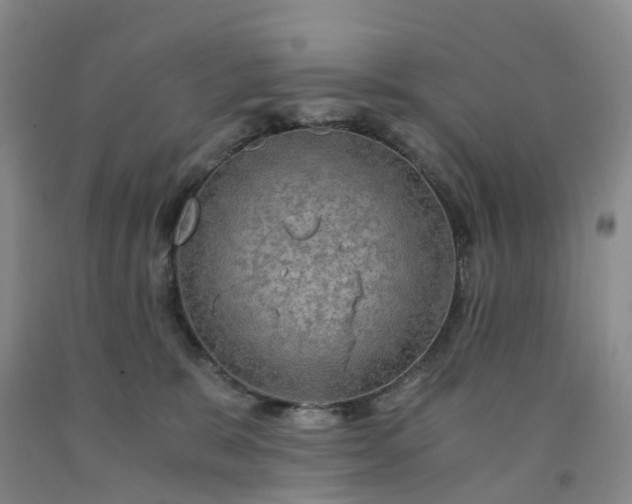 X0000092000327200709201514