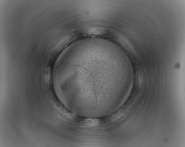 X0000092000328200709201514