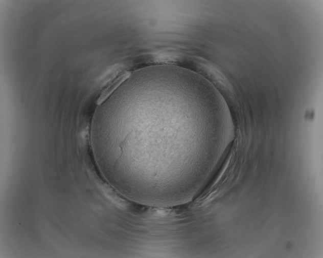 X0000092000329200709201514