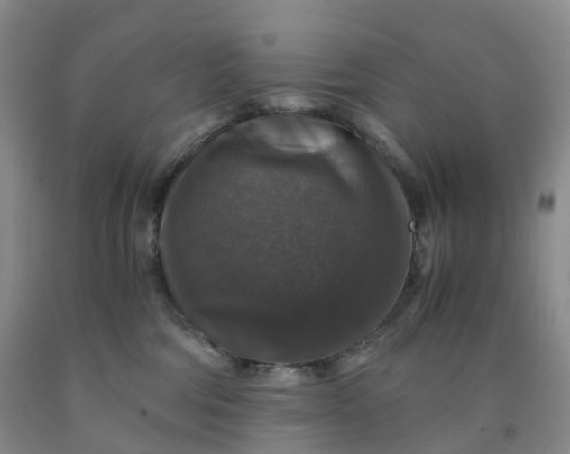 X0000092000330200709201514