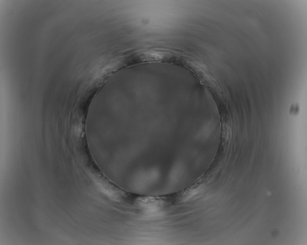 X0000092000331200709201514