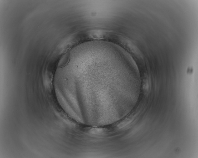 X0000092000332200709201514