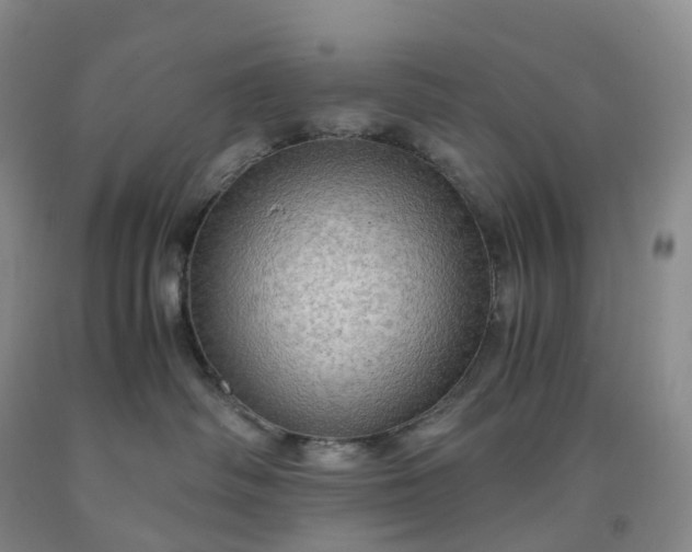 X0000092000334200709201514