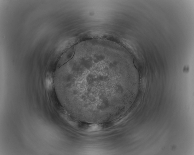 X0000092000335200709201514